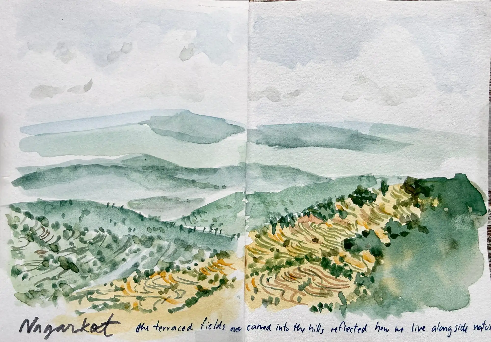 Spread 14 of the journal, photographed flat