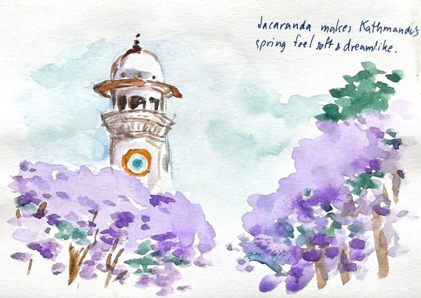 A white clock tower standing behind two great violet masses of jacaranda in flower