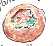 One pani puri painted close up, a crisp golden shell cracked open with green and red filling inside