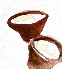 Two clay pots of yogurt, one tipped towards you so you can see the set cream inside